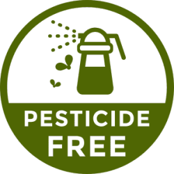 pesticide-free-icon